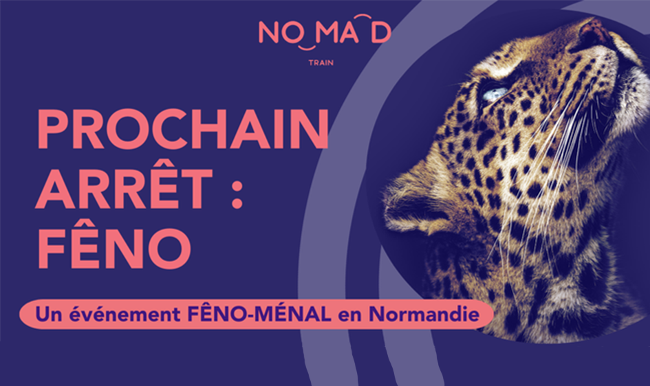 affiche FENO